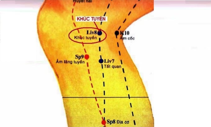 Huyệt Khúc Tuyền đem lại nhiều hiệu quả tích cực trong điều trị các bệnh về xương khớp gối
