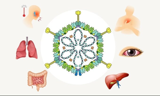 Những thông tin lưu ý về Adenovirus
