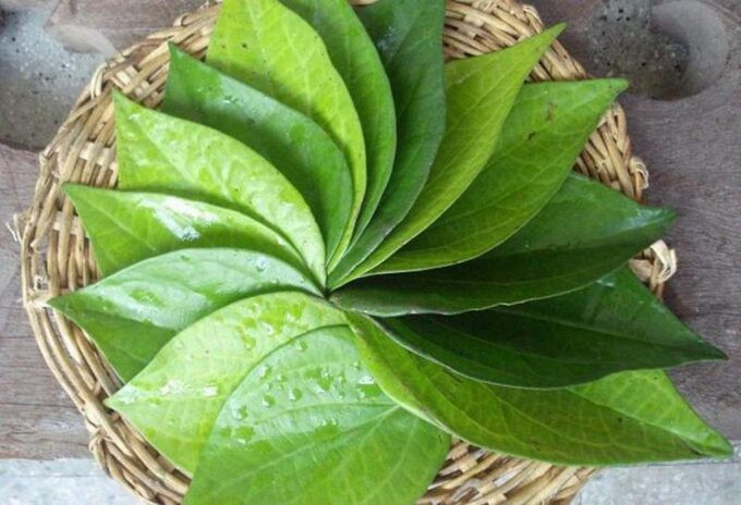 Một số mẹo dân gian chữa viêm âm đạo tại nhà