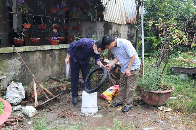 Long An tăng cường phòng, chống sốt xuất huyết, xử lý triệt để các ổ dịch