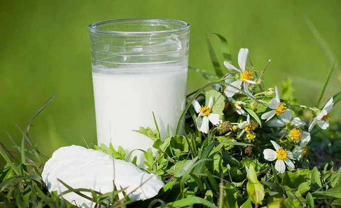 Cách dùng bột sắn dây chữa đau dạ dày đúng cách