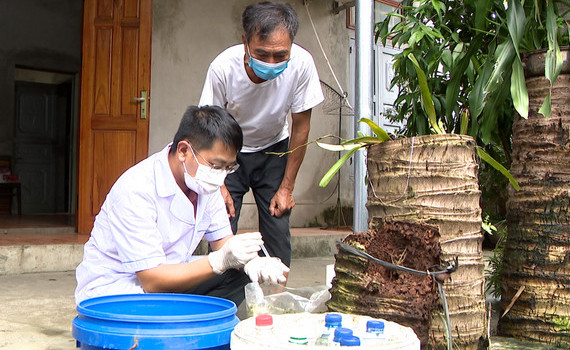 Đắk Nông: Số ca sốt xuất huyết cao gấp gần 12 lần năm ngoái