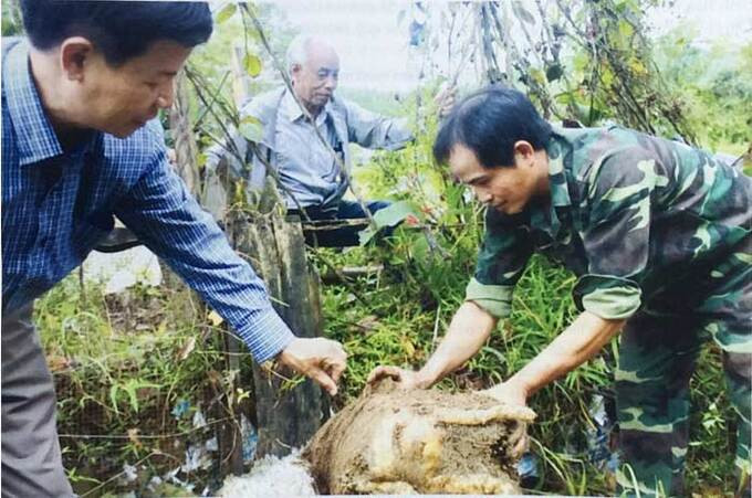 Nghiên cứu ứng dụng khoa học và phát triển dược liệu tại Việt Nam