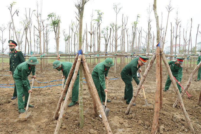 Thừa Thiên Huế tổ chức phát động Tết trồng cây Xuân Quý Mão năm 2023
