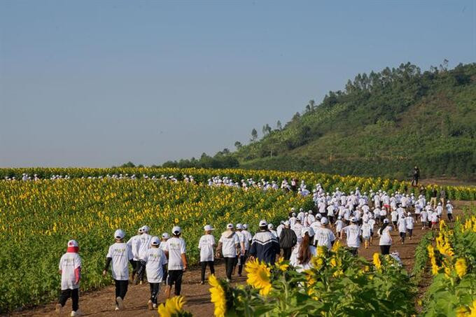 Nghệ An: Gần 4.000 học sinh, sinh viên tham gia giải chạy S-Race 2022