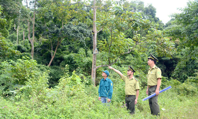 Tăng cường phòng, chống tội phạm về đa dạng sinh học đến năm 2030, tầm nhìn đến năm 2050