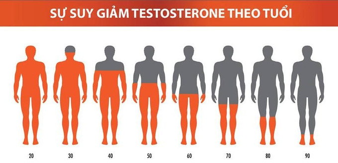 Suy giảm Testosterone ảnh hưởng đến các hoạt động của nam giới