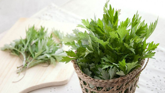 Một số cách ngâm chân giúp ngủ ngon, ngủ sâu giấc