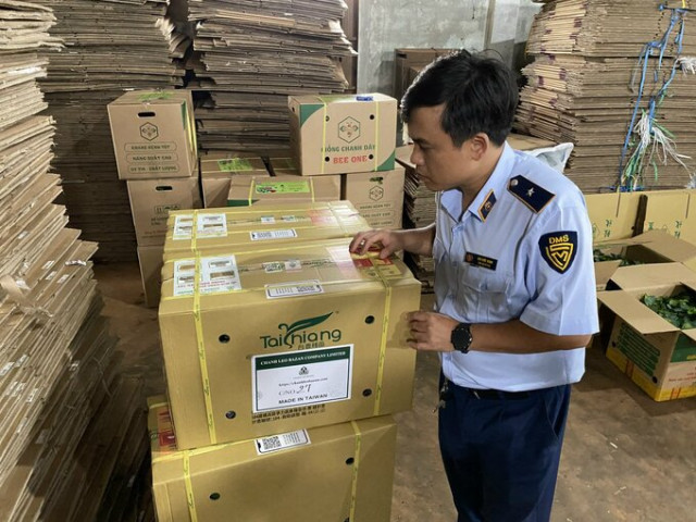 Gia Lai xử phạt 80 triệu đồng giả mạo nguồn gốc, xuất xứ cây chanh dây giống