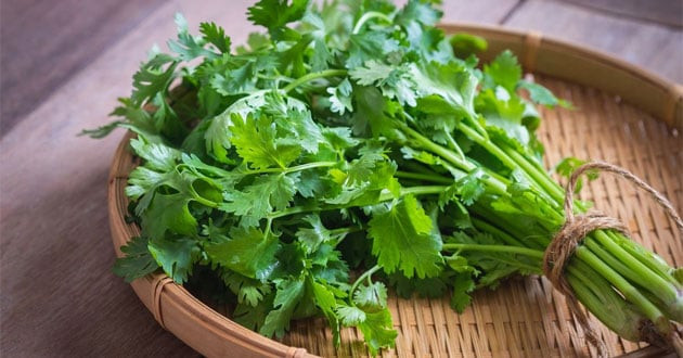Những thảo dược ăn sống là tốt nhất