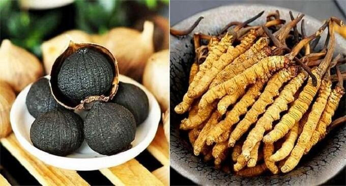 Tỏi đen đông trùng hạ thảo - 2 vị thuốc quý cho sức khỏe