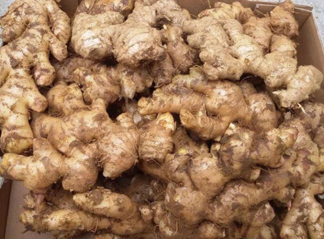 Tác dụng của gừng đối với nam giới