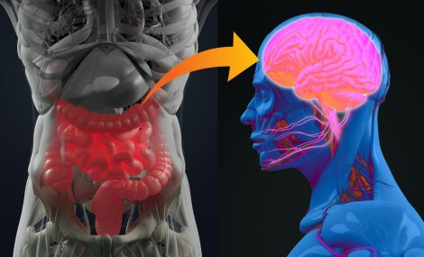 Lợi khuẩn ruột - liệu pháp tiềm năng chữa bệnh Parkinson