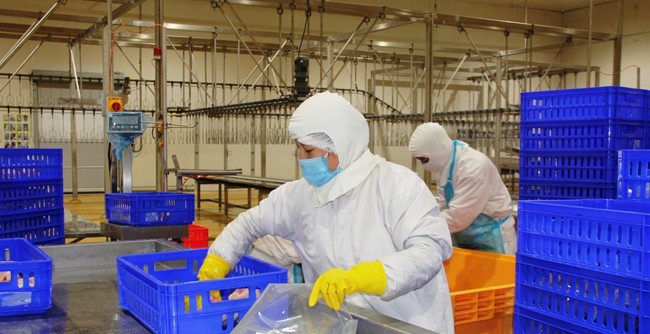 Thanh Hóa tăng cường quản lý, kiểm soát giết mổ động vật đảm bảo an toàn dịch bệnh, an toàn thực phẩm