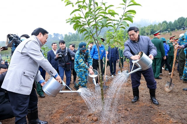 Thủ tướng Phạm Minh Chính phát động Tết trồng cây "Đời đời nhớ ơn Bác Hồ"