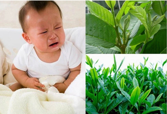 Mẹo dân gian trị rối loạn tiêu hóa ở trẻ sơ sinh hiệu quả