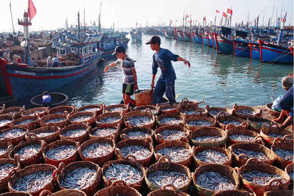 Chống khai thác hải sản bất hợp pháp, không báo cáo và không theo quy định, chuẩn bị làm việc với Đoàn Thanh tra của Ủy ban châu Âu