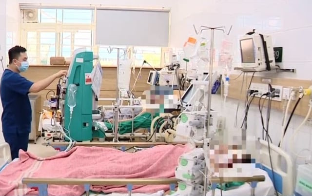 Hòa Bình: 6 người bị ngộ độc sau khi ăn nấm rừng, trong đó 2 người tiên lượng rất nặng