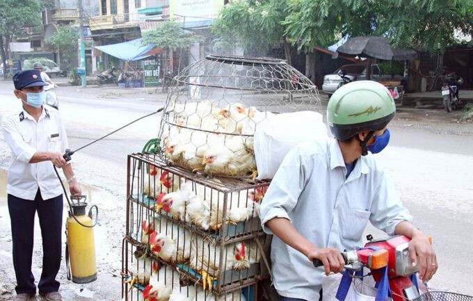 Ngăn chặn tình trạng nhập lậu, vận chuyển trái phép gia cầm, sản phẩm gia cầm nhập lậu từ nước ngoài vào Việt Nam