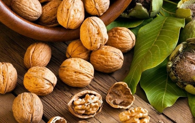 Lợi ích khi ăn óc chó mỗi ngày