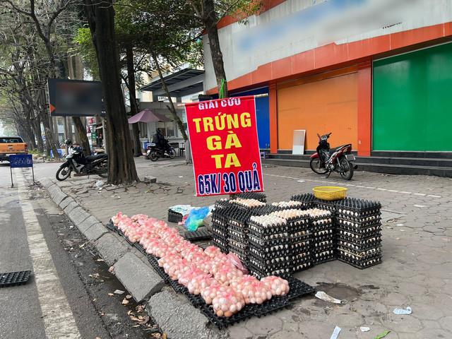 Hiệp hội Chăn nuôi gia cầm Việt Nam khuyến cáo không nên mua trứng gà "giải cứu"