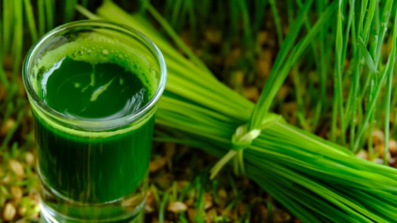 5 mẹo trị ho cho trẻ dưới 1 tuổi