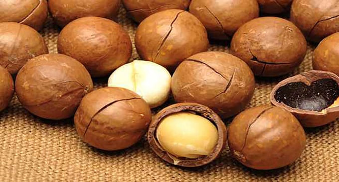 Lợi ích sức khỏe của hạt mắc ca