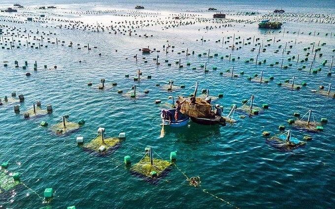 Phê duyệt Đề án chuyển đổi một số nghề khai thác hải sản ảnh hưởng đến nguồn lợi và môi trường sinh thái