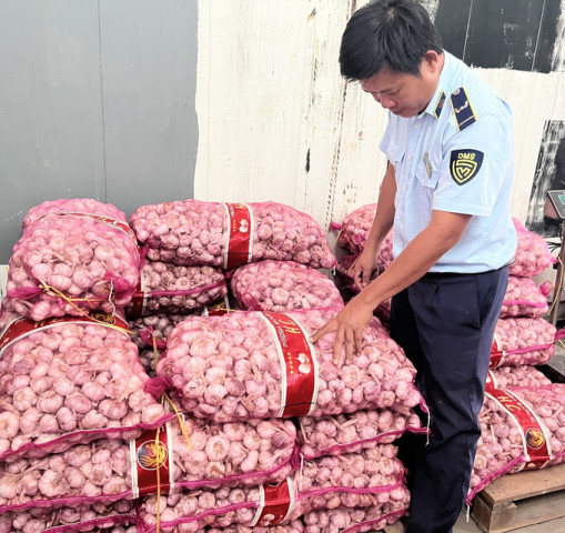 Hậu Giang tạm giữ 1.242kg tỏi không rõ nguồn gốc xuất xứ