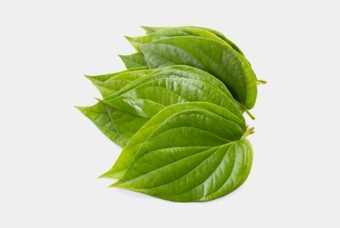 Những bài thuốc chữa bệnh tổ đỉa bằng lá trầu không