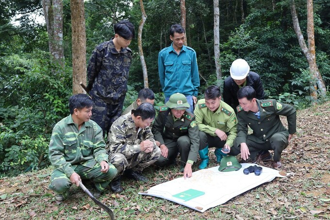 Lào Cai tập trung ứng phó phòng, chống cháy rừng trên địa bàn tỉnh