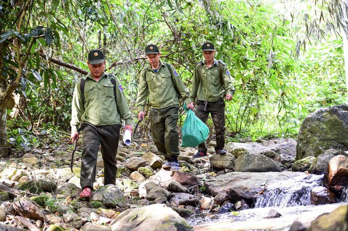 Kon Tum quyết liệt triển khai các giải pháp phòng, chống cháy rừng