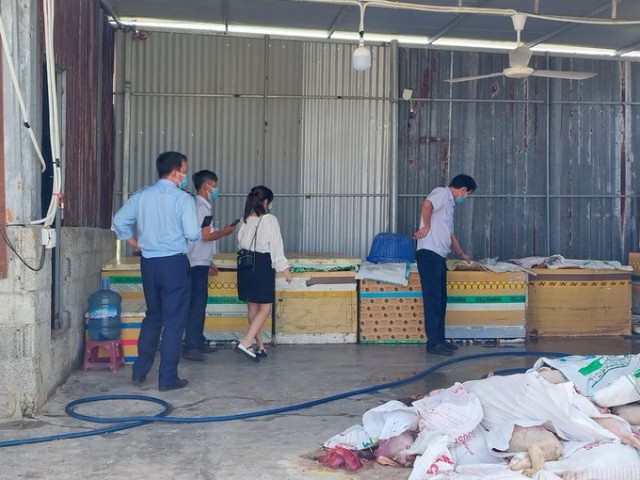 Khánh Hòa phát hiện 5 tấn thịt, nội tạng lợn hôi thối tại 1 cơ sở giết mổ