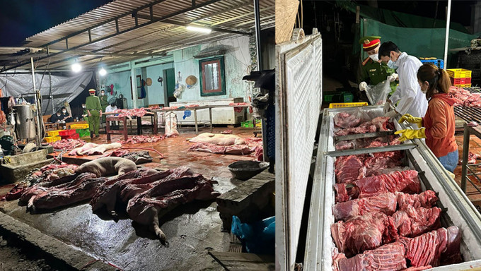 Bắc Giang xử phạt cơ sở giết mổ hơn 1 tấn lợn đã chết để mang đi tiêu thụ