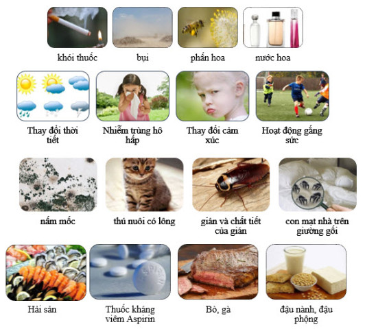 Cách chăm sóc trẻ hen suyễn tại nhà
