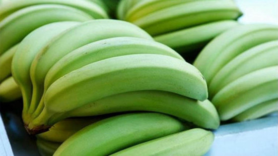 Cách dùng chuối xanh trị lang ben