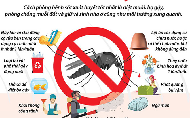 Yên Bái yêu cầu chủ động, tích cực phòng chống bệnh sốt xuất huyết trên địa bàn