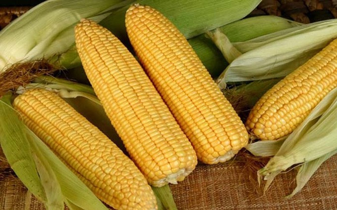 Món ăn vặt giàu chất xơ, thích hợp với việc giảm cân