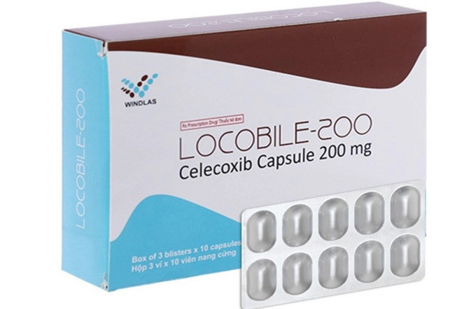Xử phạt vi phạm hành chính Công ty M/s Windlas Biotech Limited (India)
