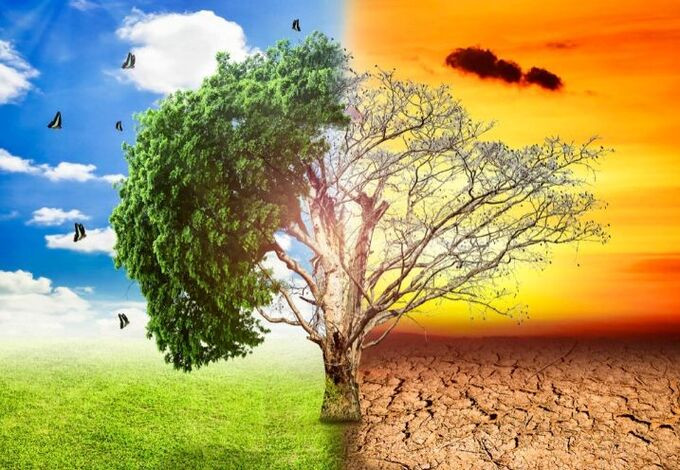 TP. HCM đề ra 5 nhóm giải pháp triển khai thực hiện Chương trình Giảm ô nhiễm môi trường