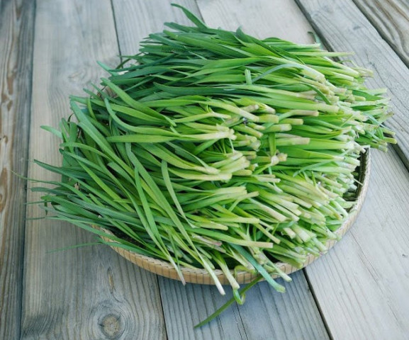 Cách chữa mề đay bằng lá hẹ