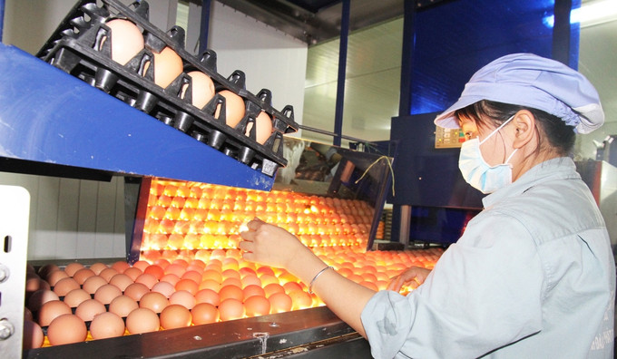 Bắc Ninh đảm bảo an toàn thực phẩm, nâng cao chất lượng nông, lâm, thủy sản trên địa bàn tỉnh