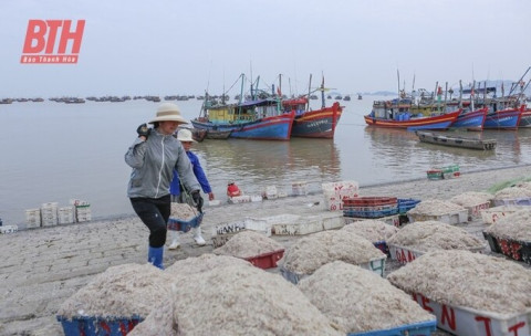Thanh Hóa triển khai các biện pháp chống đánh bắt thủy sản trái phép
