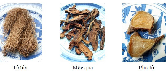 Y học cổ truyền trị liệu chứng chuột rút
