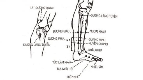 Công dụng, vị trí và cách châm cứu huyệt Huyền Chung