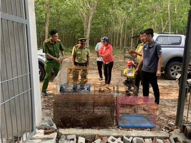 Bình Dương thả hàng trăm cá thế động vật quý, hiếm trở về với môi trường tự nhiên