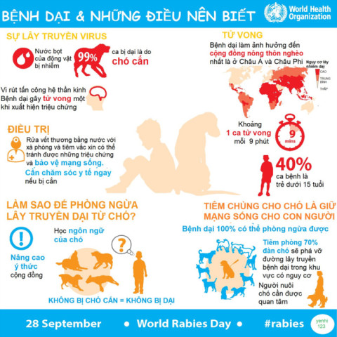 Ninh Bình phòng, chống bệnh dại ở động vật trên địa bàn tỉnh giai đoạn 2022 -2030
