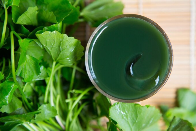 Cách làm đẹp da bằng rau má