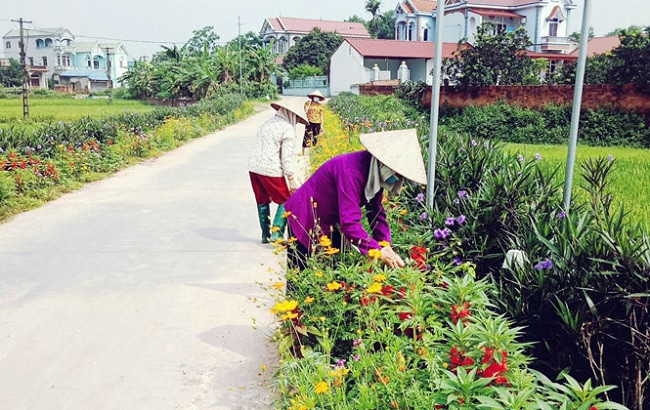 Quảng Ngãi ban hành kế hoạch bảo vệ môi trường, an toàn thực phẩm và cấp nước sạch nông thôn