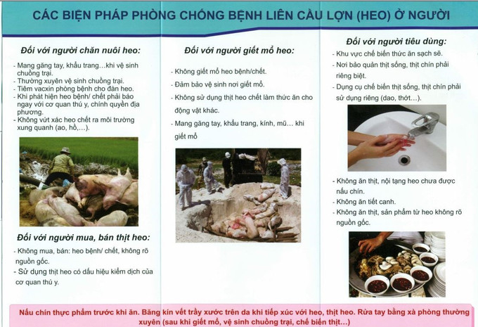 Đắk Lắk chủ động phòng chống bệnh liên cầu lợn ở người